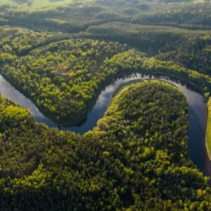 AMAZZONIA