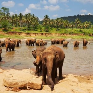 SRI LANKA