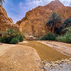 IMG_0519