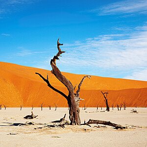 NAMIBIA