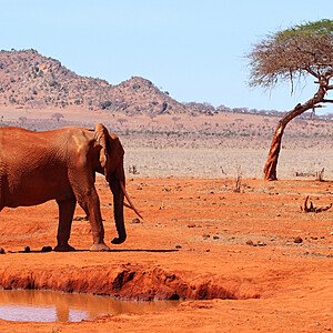 KENYA