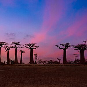 MADAGASCAR
