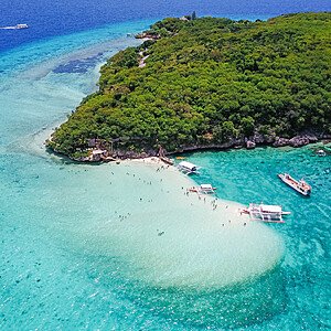 MAFIA ISLAND