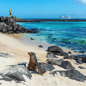 GALAPAGOS LIVEABOARD