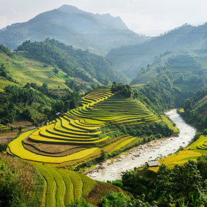 VIETNAM & CAMBOGIA