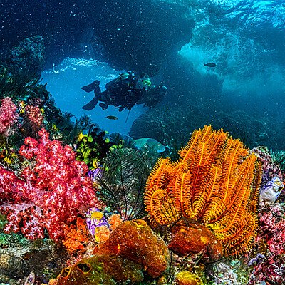 FOTO LANDING MATRIMONIO