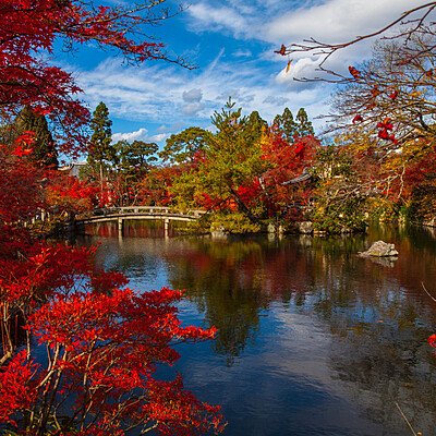 Giappone Foliage 3