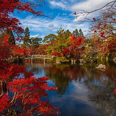 Giappone Foliage 3