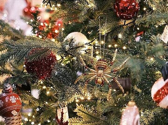 Natale nel mondo (14)