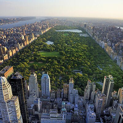 New York (3)