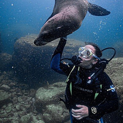 baja_california (4)