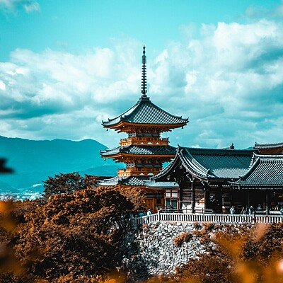 cosmin-georgian-gd3ysFyrsTQ-unsplash