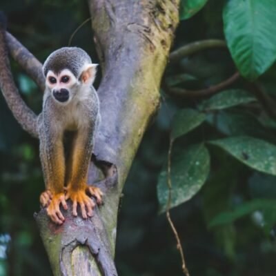 diego-guzman-u_4bPYOXujE-unsplash