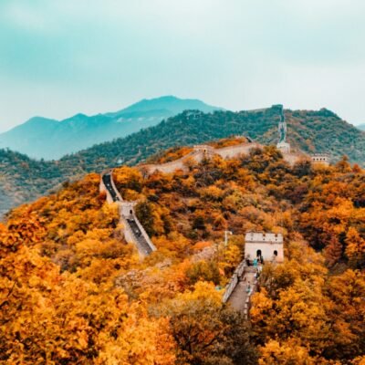 hanson-lu-Q36BvLGdOAg-unsplash