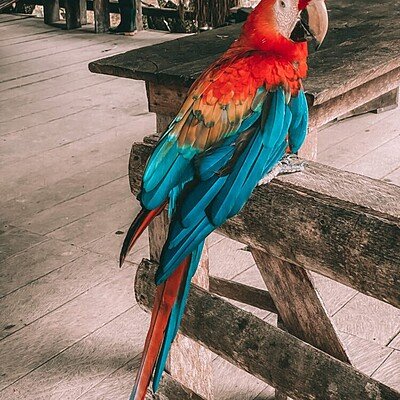 image00024