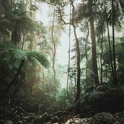 justin-clark-H7JiEU8Slnw-unsplash