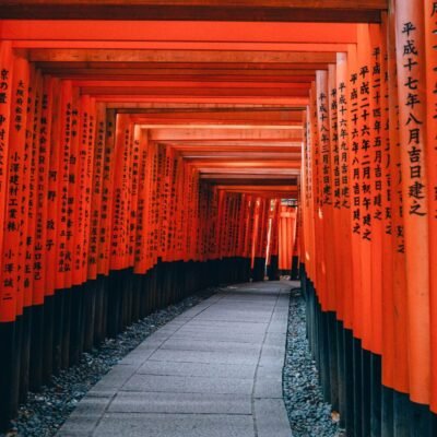 Torii al Fushimi Inari