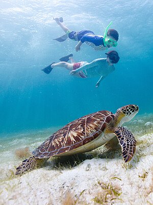 snorkeling1
